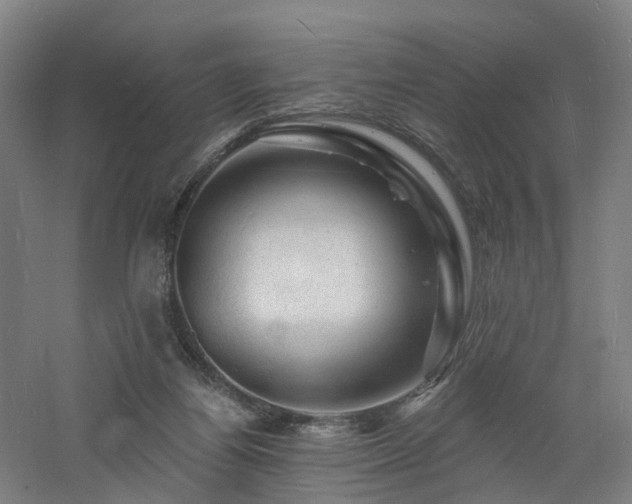 X0000060740164200511101117