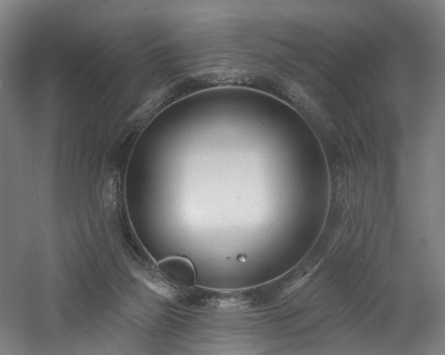 X0000060740165200511101117