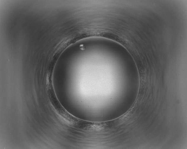 X0000060740166200511101117