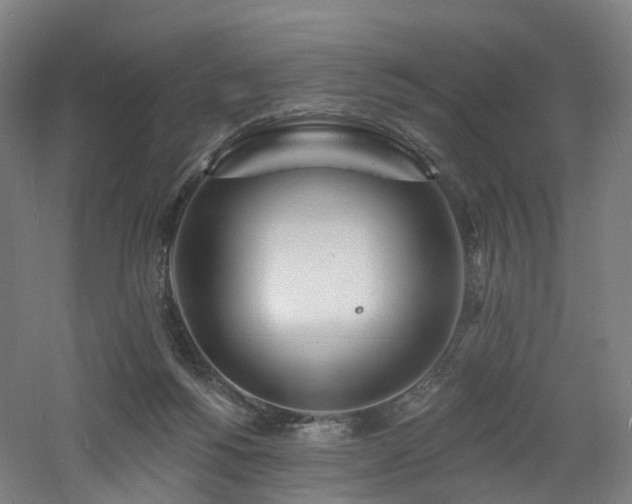 X0000060740168200511101117