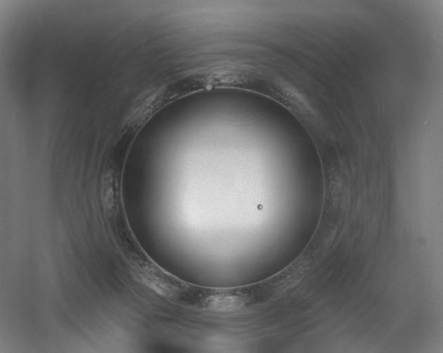 X0000060740169200511101117