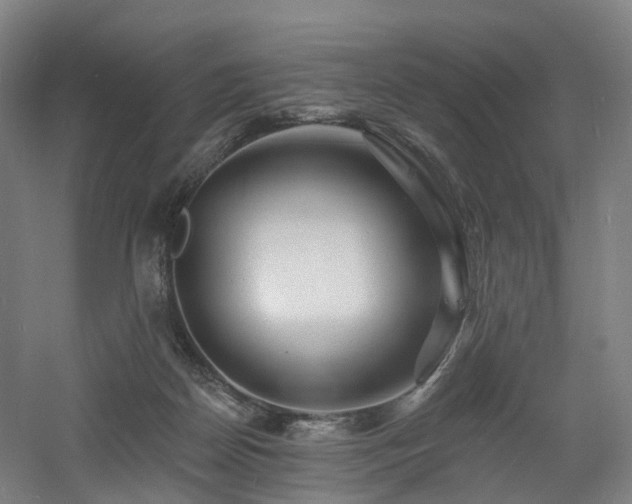 X0000060740170200511101117