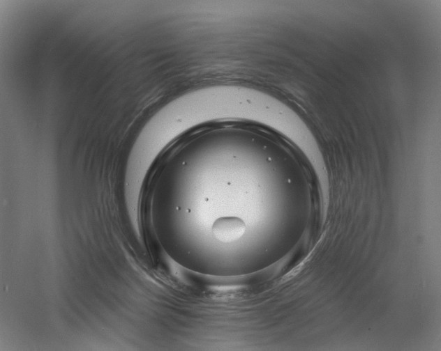 X0000060740171200511101117