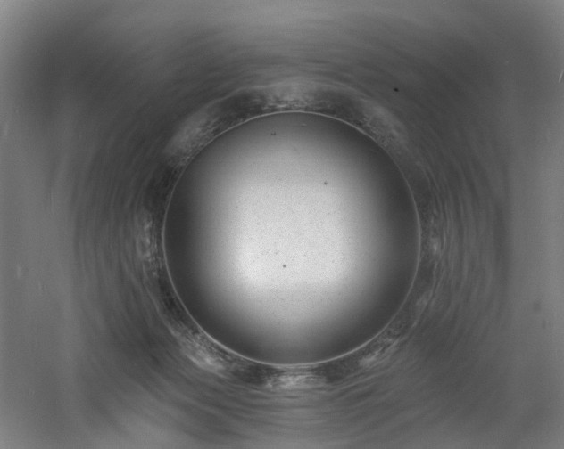 X0000060740173200511101117