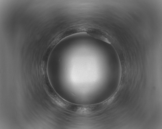 X0000060740174200511101117