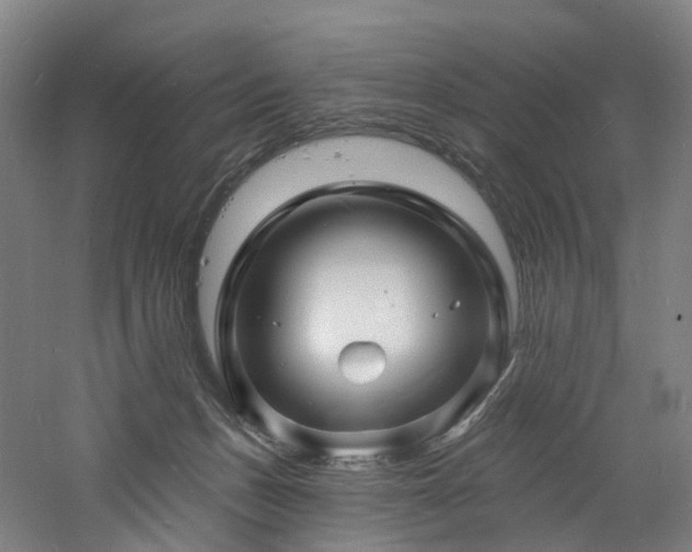 X0000060740175200511101117