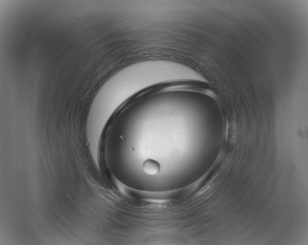 X0000060740176200511101117