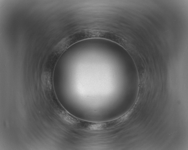 X0000060740178200511101117