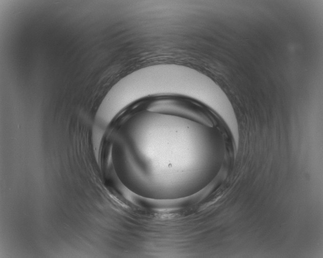 X0000060740185200511101117