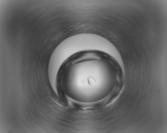 X0000060740186200511101117