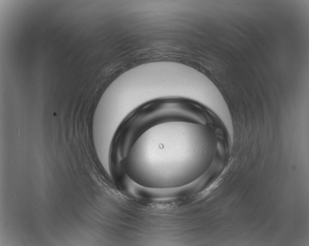 X0000060740187200511101118