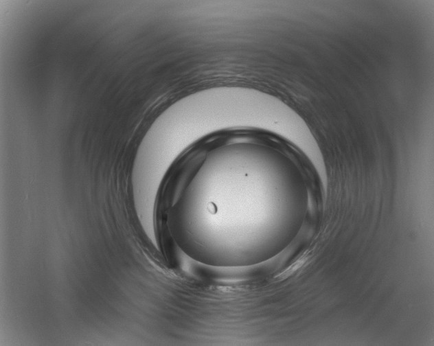 X0000060740188200511101118