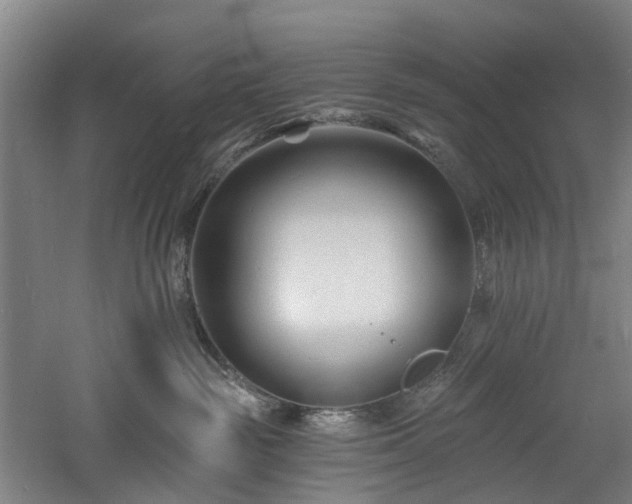 X0000060740189200511101118