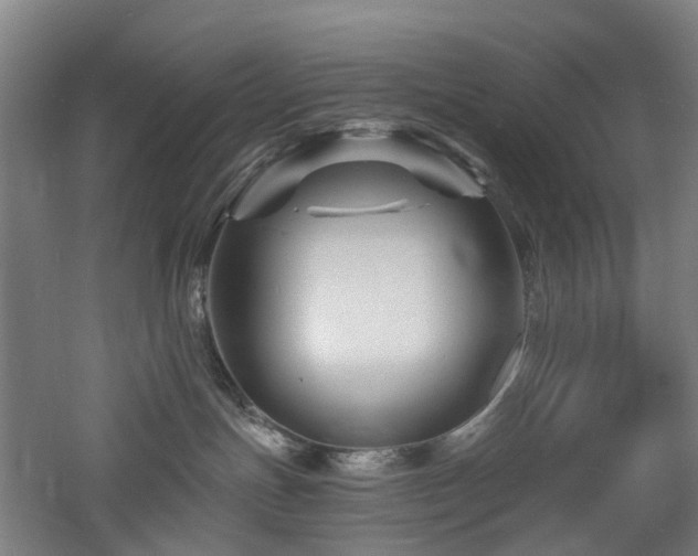 X0000060740191200511101118