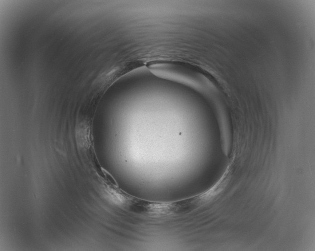 X0000060740192200511101118