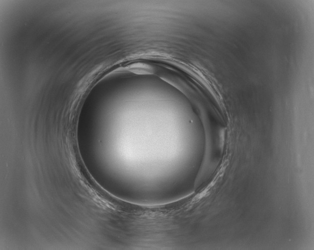 X0000060740193200511101117