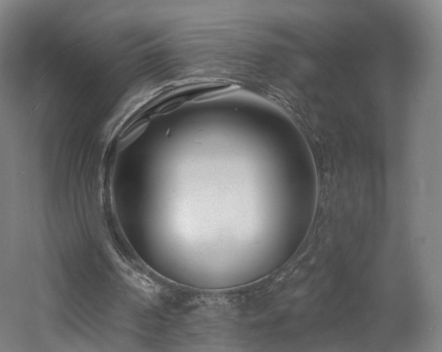 X0000060740194200511101117