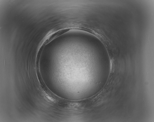 X0000060740195200511101117