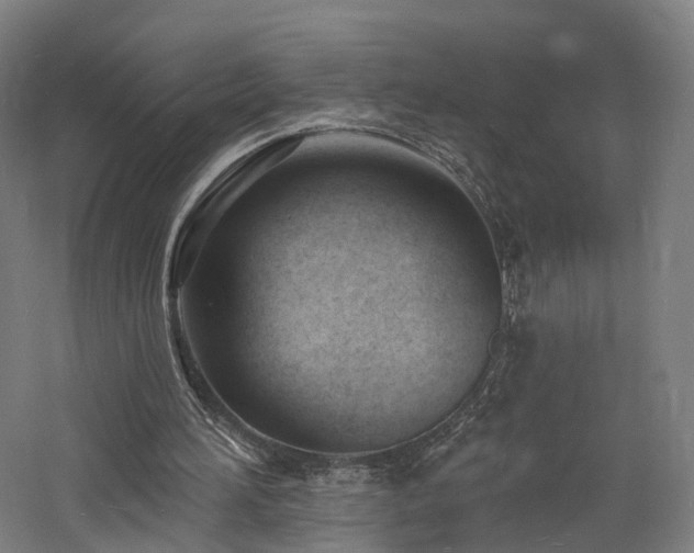 X0000060740196200511101117