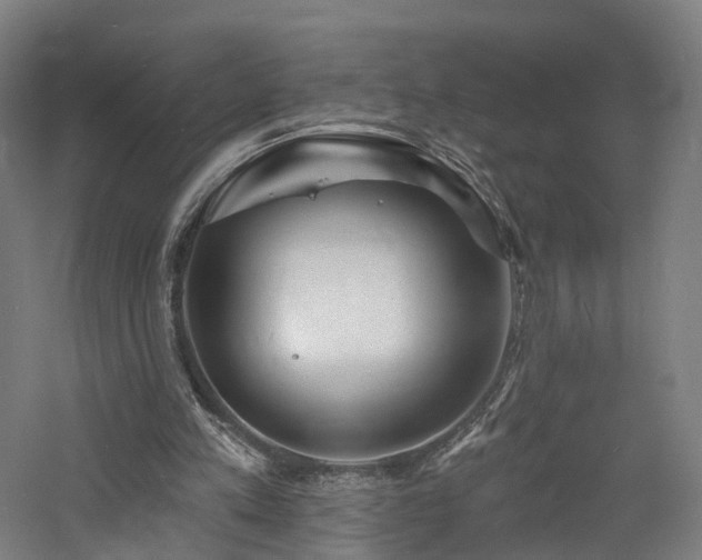 X0000060740197200511101117