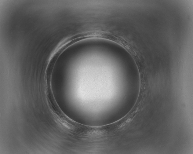 X0000060740198200511101117