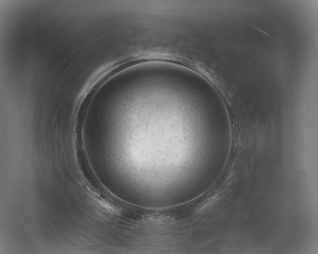 X0000060740199200511101117