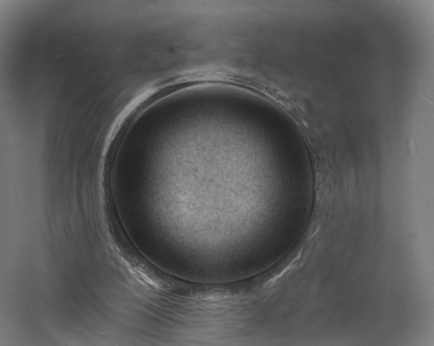 X0000060740200200511101117