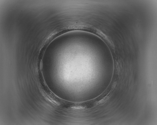 X0000060740203200511101117