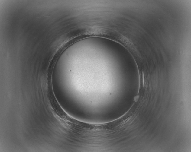 X0000060740204200511101117