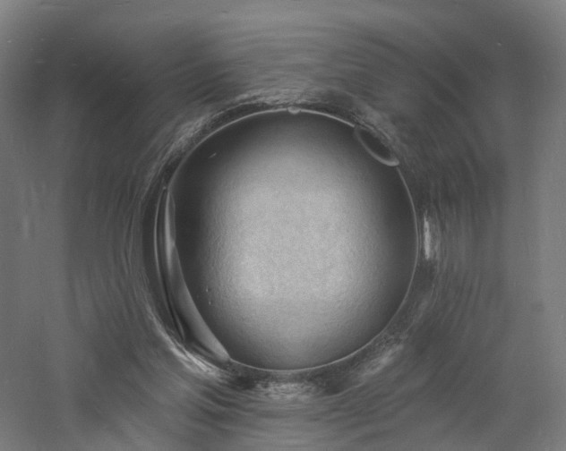 X0000060740205200511101117