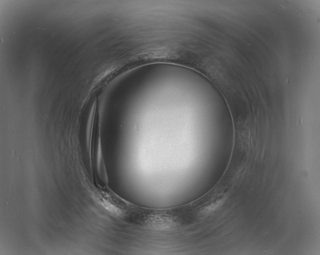 X0000060740207200511101117