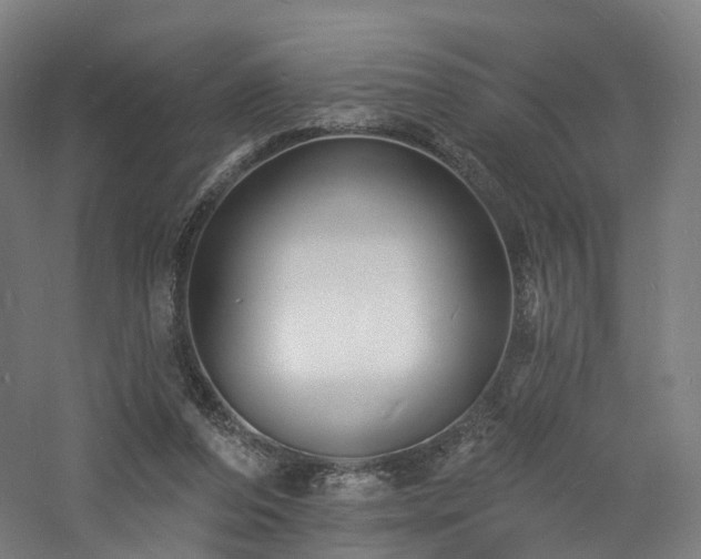 X0000060740208200511101117