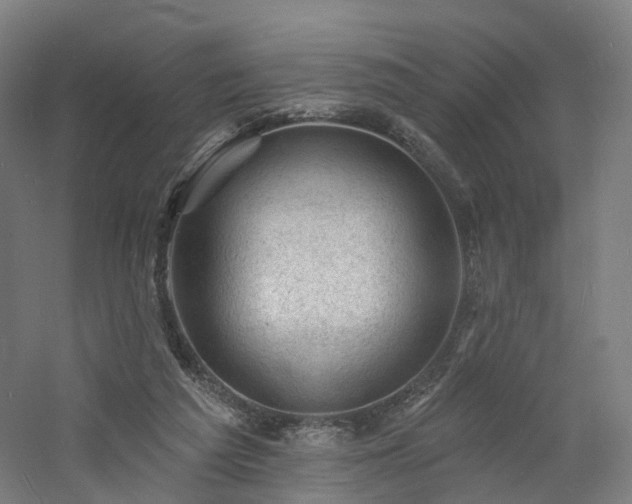 X0000060740209200511101117