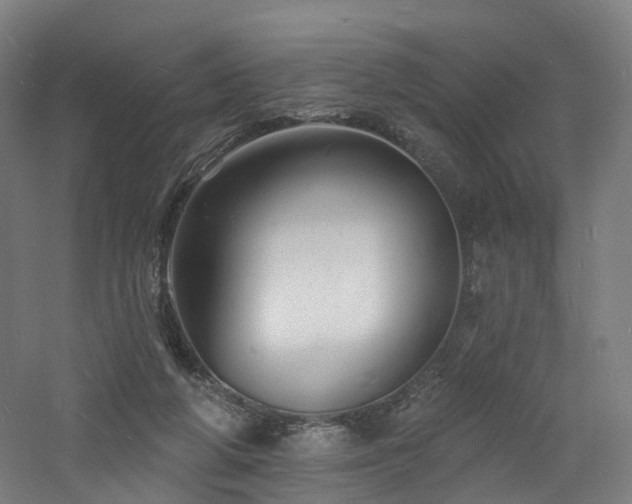 X0000060740210200511101116