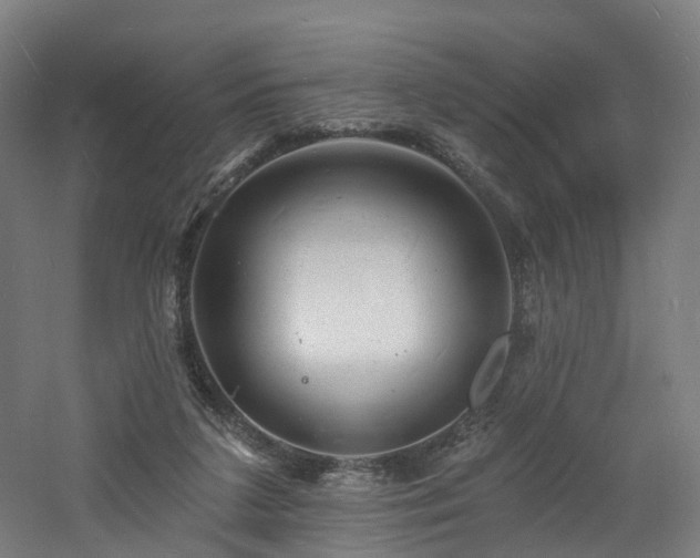 X0000060740211200511101116