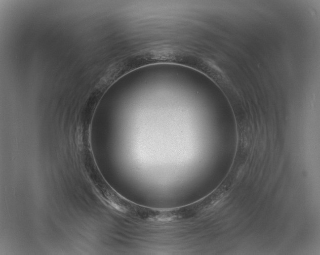 X0000060740213200511101116