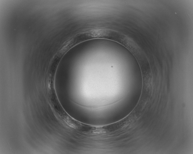 X0000060740214200511101116