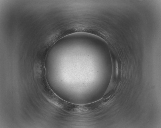 X0000060740215200511101116