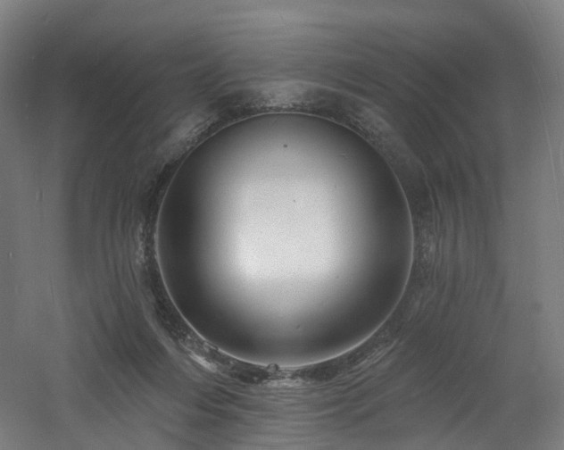 X0000060740216200511101116