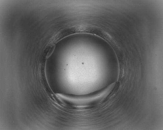 X0000060740217200511101116