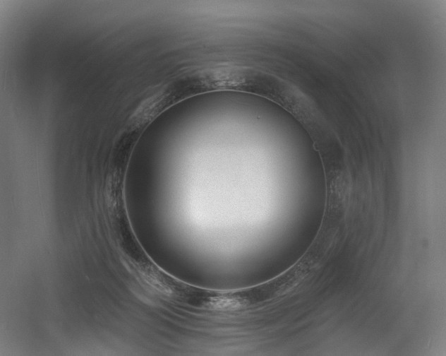 X0000060740218200511101116