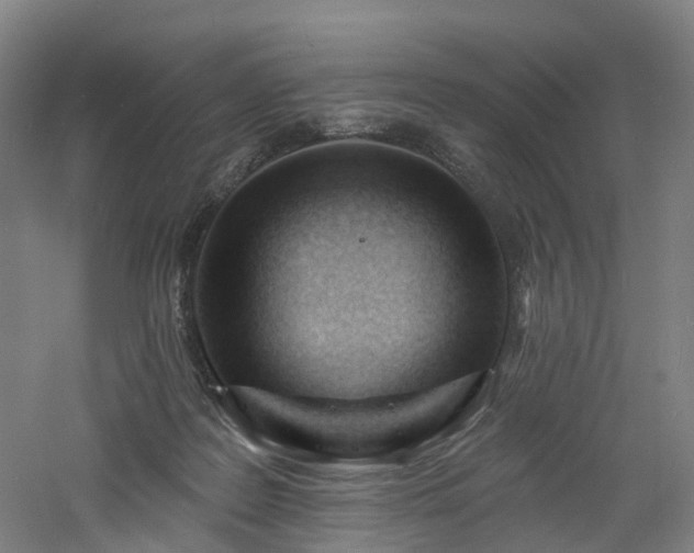 X0000060740219200511101116