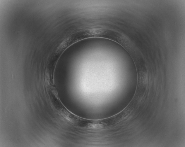 X0000060740220200511101116