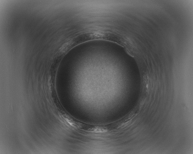 X0000060740223200511101116