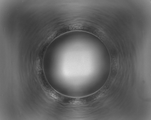 X0000060740224200511101116