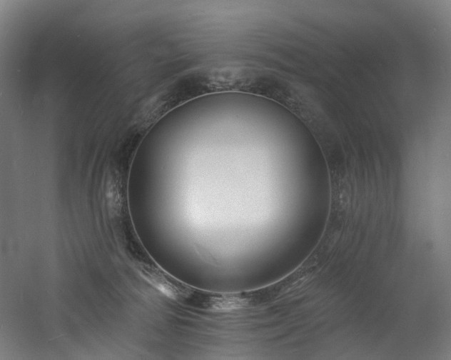 X0000060740226200511101116