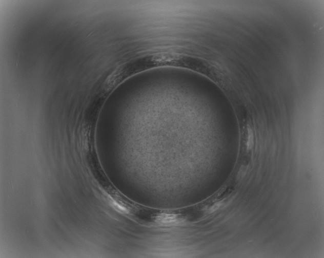 X0000060740227200511101116