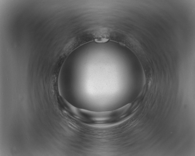 X0000060740229200511101116