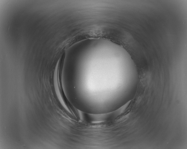 X0000060740233200511101116