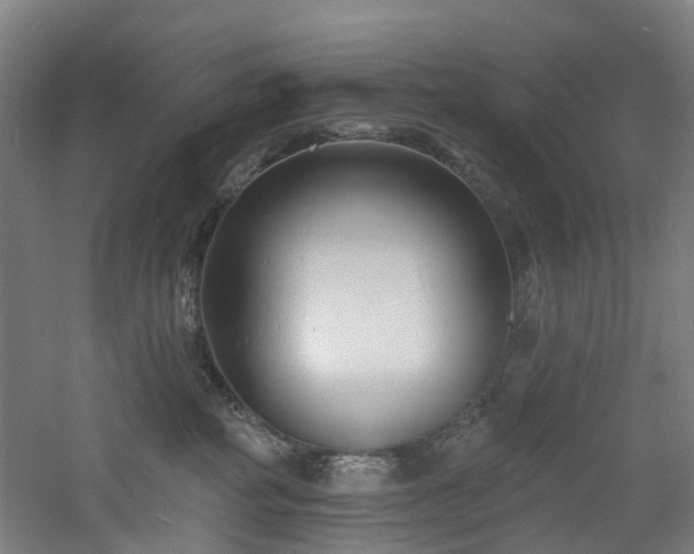 X0000060740234200511101116